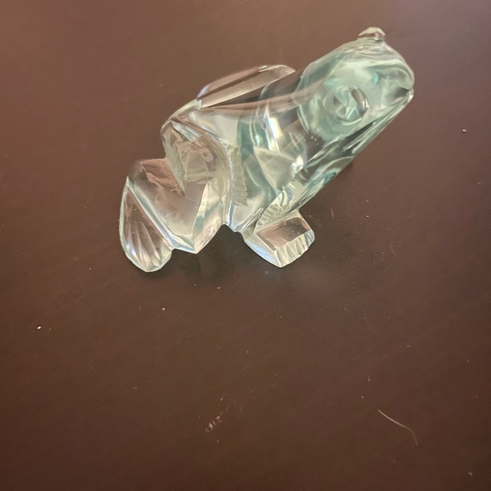Cute Glass Frog